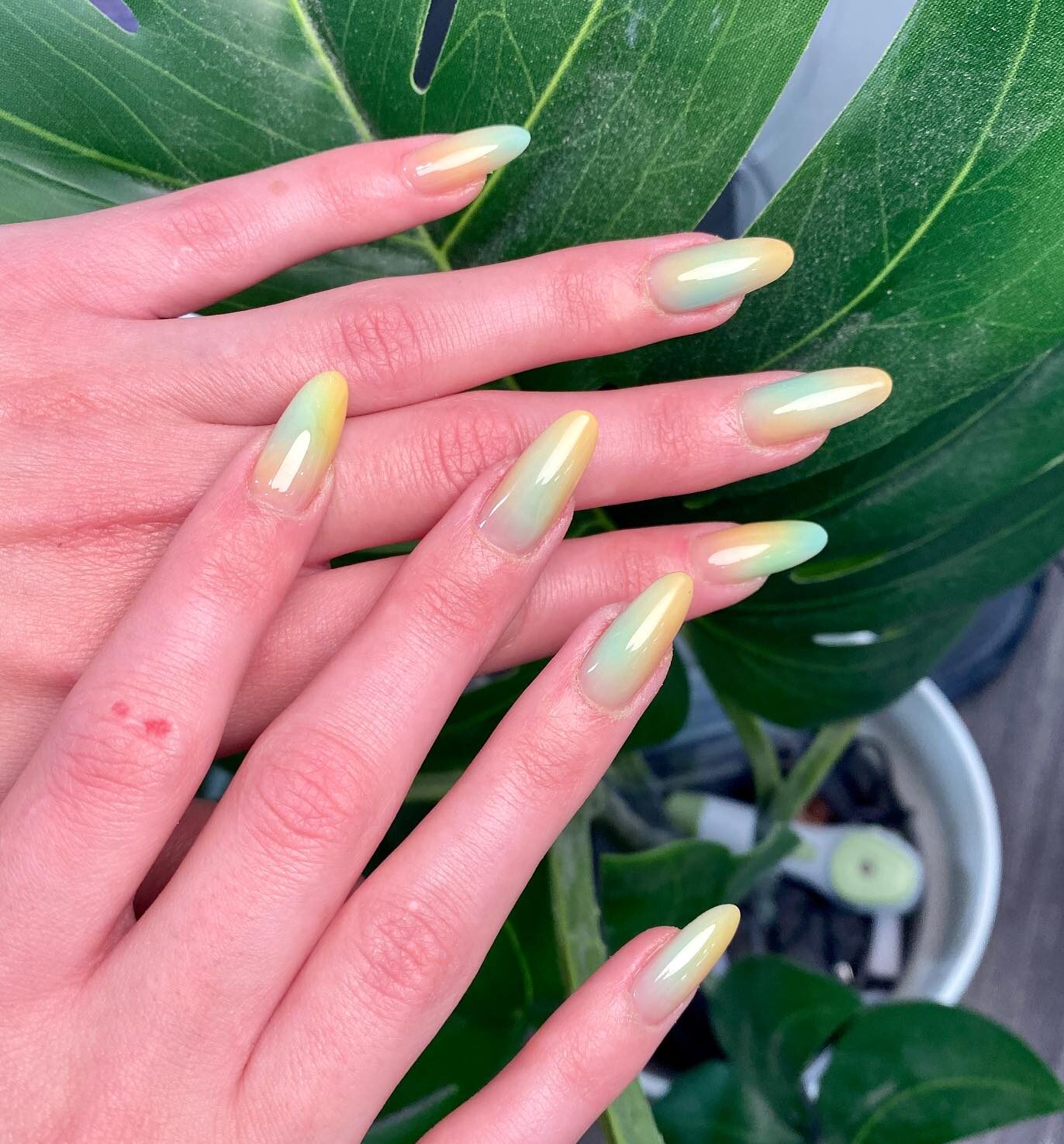 Conception d’ongles à effet ombré vert pâle et jaune sur de longs ongles ronds