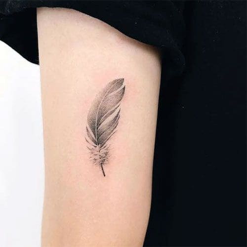 Conceptions minimales de tatouage de plumes 2